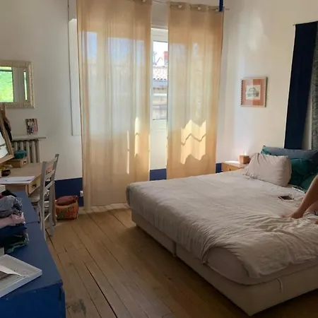 Large Cosy Nest With Garden In Appartement Bordeaux
